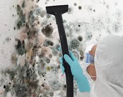 Asbestos and Lead Testing During Mold Inspection